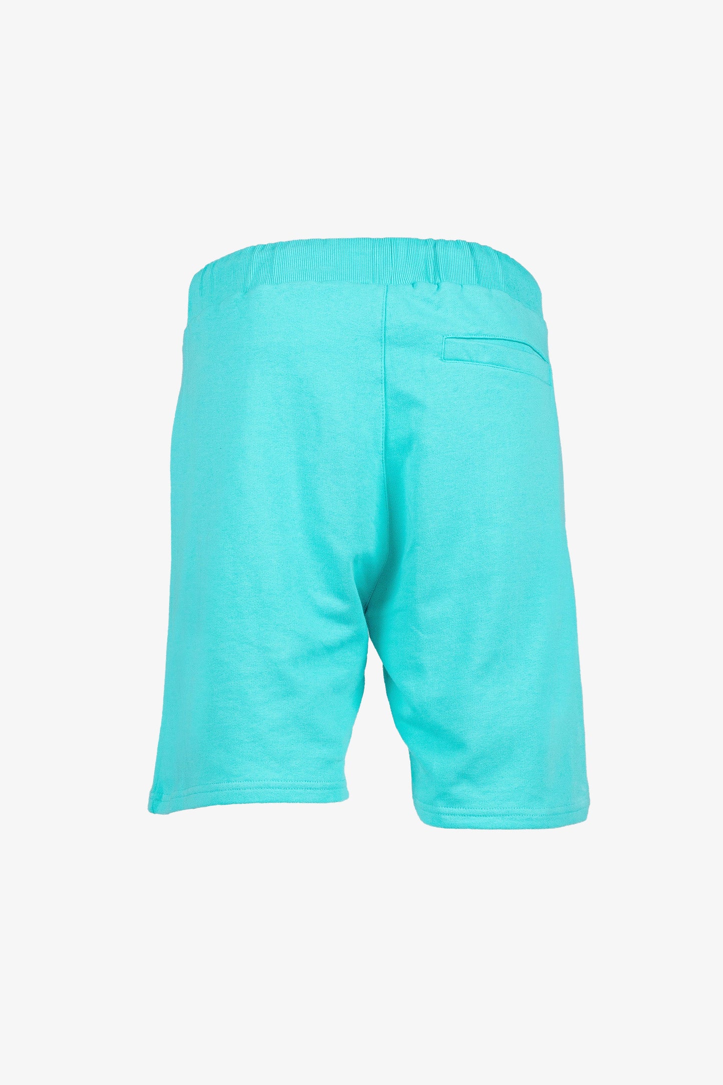 Jogging Short REMAIN DENSE