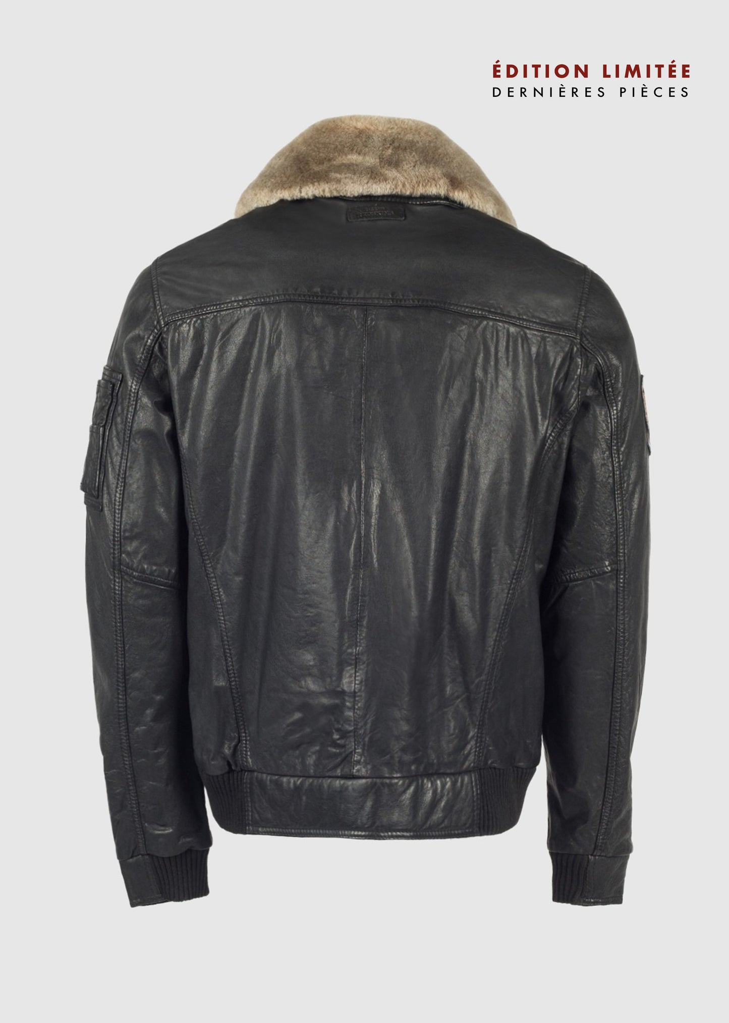 Blouson collector MIRAGE HARLINGTON
