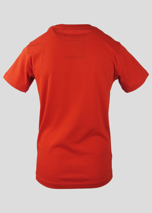 T-shirt SAMPHA