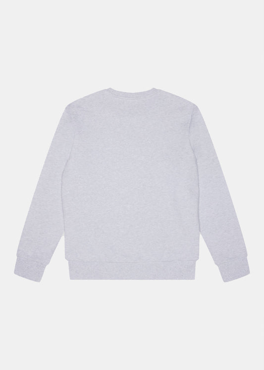 Sweatshirt gris BASS MOST
