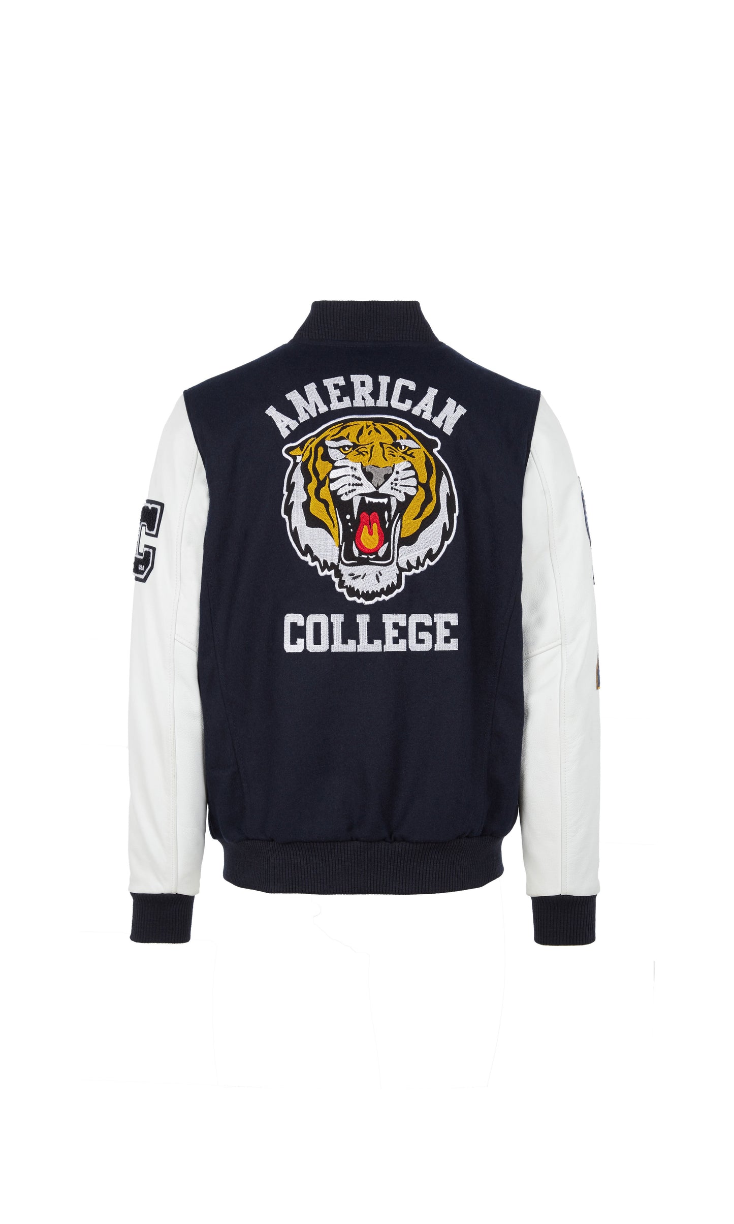 Teddy american college bleu marine