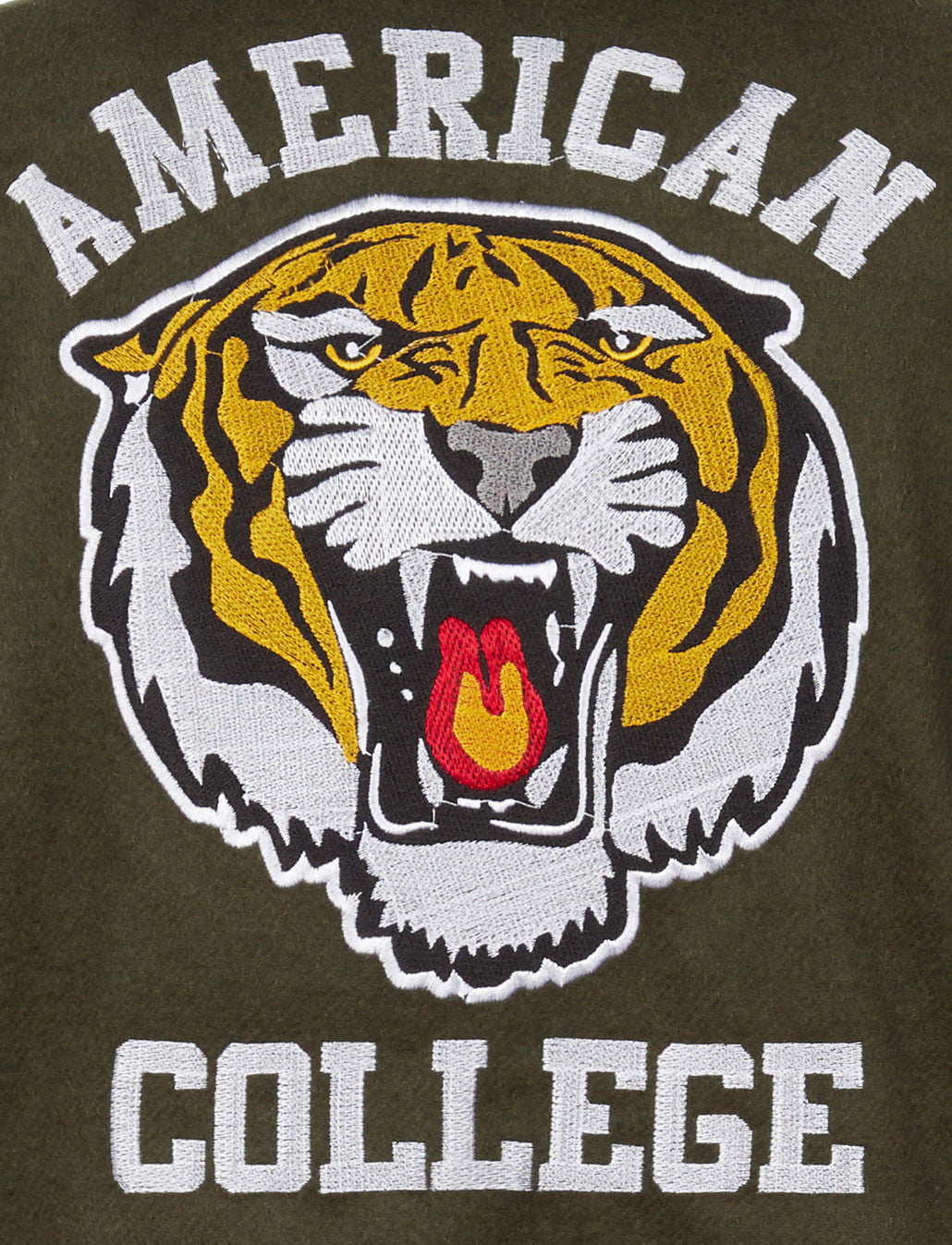 Teddy american college vert
