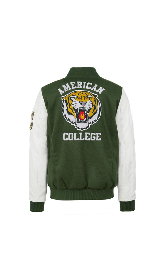 Teddy american college vert