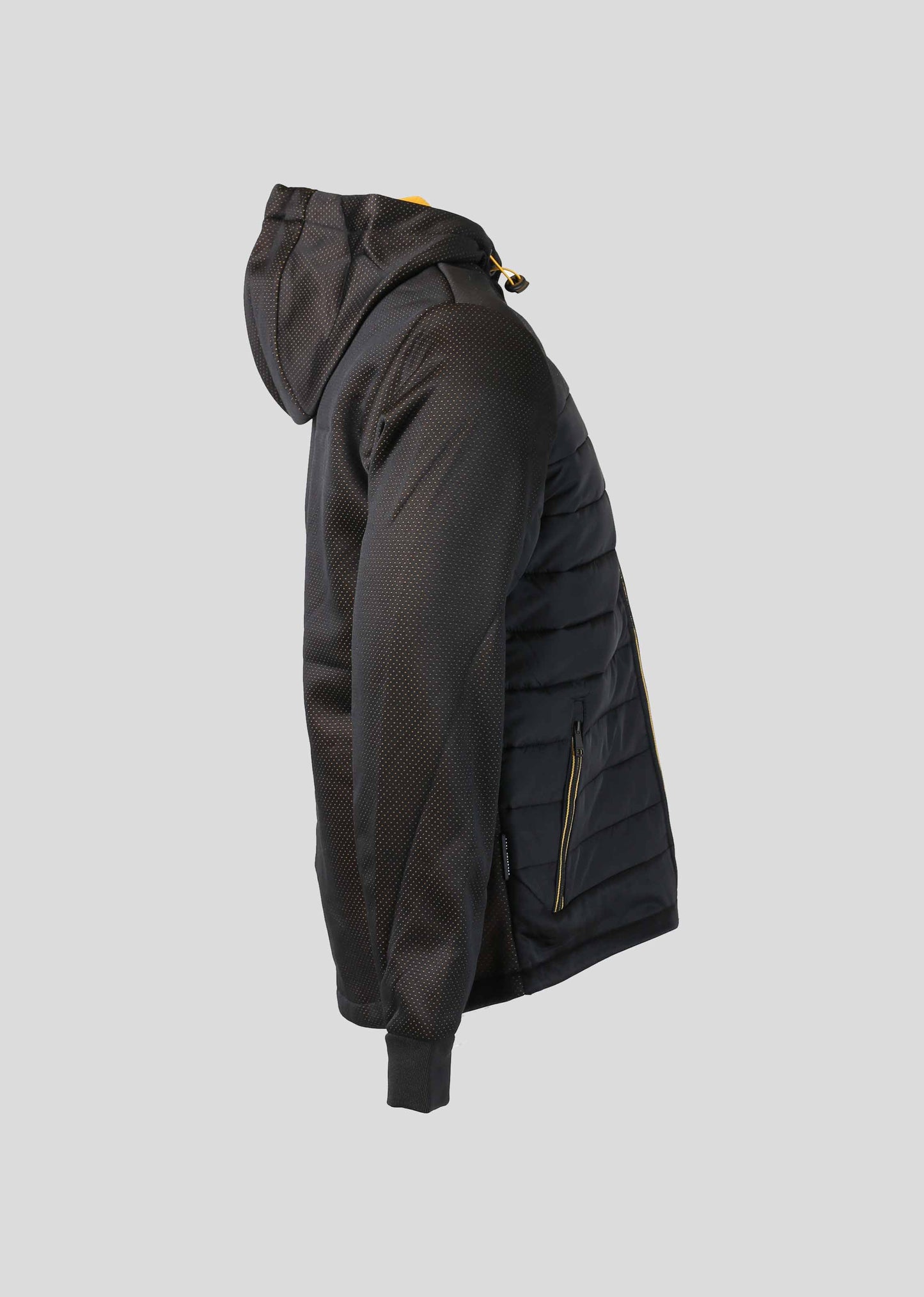 Veste HEARST SCOOP