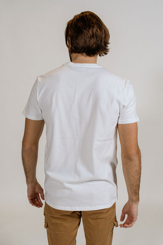 Tshirt MC DOLLAR DOWNER