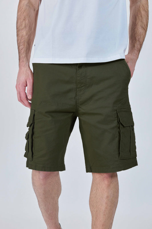 SHORT DESERT VISION